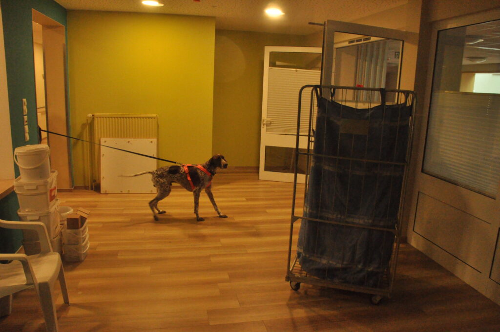 Indoor 03