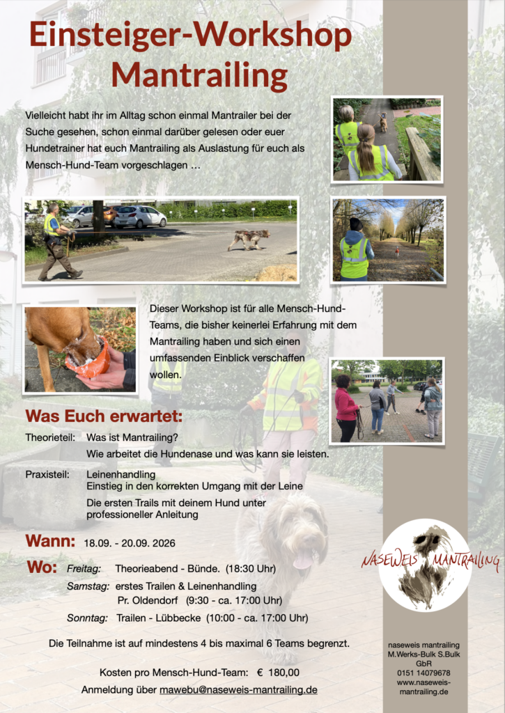 Einsteiger Workschop